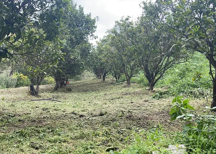 Finca Di Carmen
